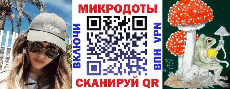 где можно купить   Аркадак  Псилоцибиновые грибы мухоморы 